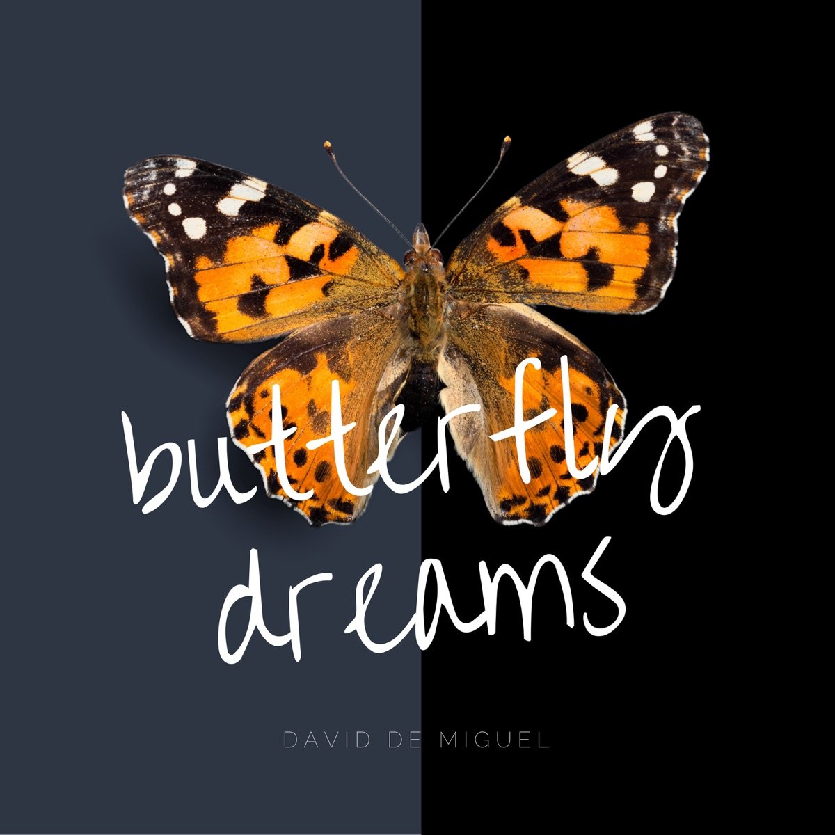 Offizielles Cover von Butterfly Dreams von David de Miguel