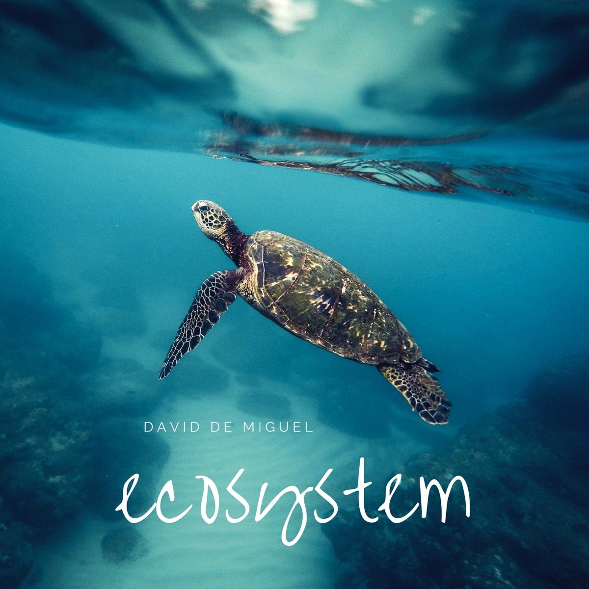 Cover von Ecosystem